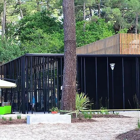 Lege-cap-ferret 2p 4 Chalet Estives Θέρετρο *