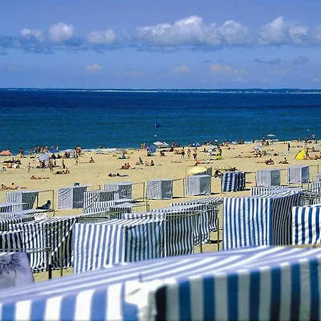 Lege-cap-ferret 2p 4 Chalet Estives Lège-Cap-Ferret