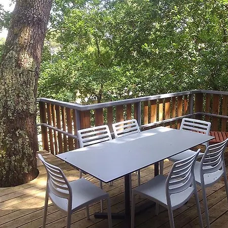 Lege-cap-ferret 2p 4 Chalet Estives